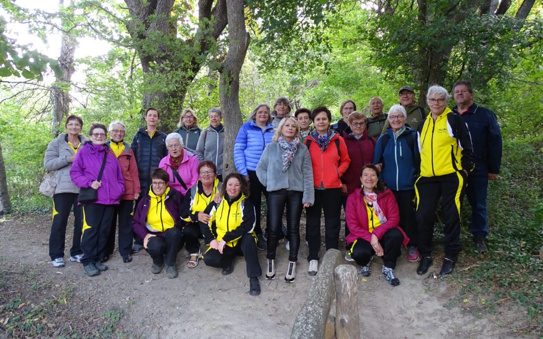 2025 Sortie d’automne